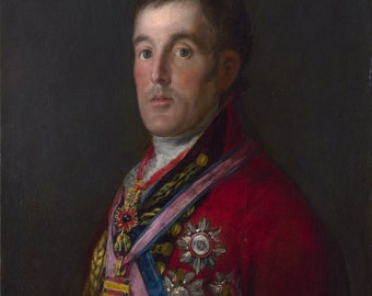 Francisco Goya, Portrait of the Duke of Wellington 1812, Museum Quality Oil Painting Reproduction (D6045)