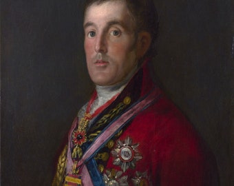Francisco Goya, Retrato del duque de Wellington 1812, reproducción de pintura al óleo con calidad de museo (D6045)