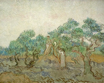 Vincent Van Gogh Holzschuppen (Htten umgeben von Olivenbumen und Zypressen)  1889, Hochwertige, handgemalte lgemlde Reproduktion - Etsy Schweiz
