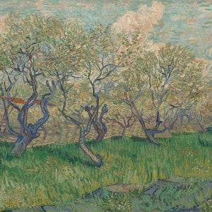 Vincent van Gogh - Orchard in Blossom 1889 Museum Quality Rolled Oil Painting Reproduction (D5060)