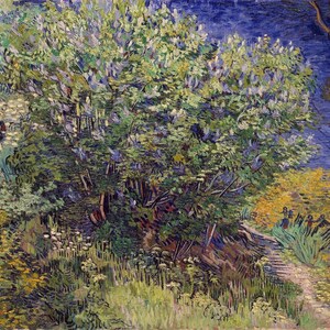Vincent van Gogh - Lang gras met vlinders 1890, reproductie van olieverfschilderijen van museumkwaliteit (D5060)