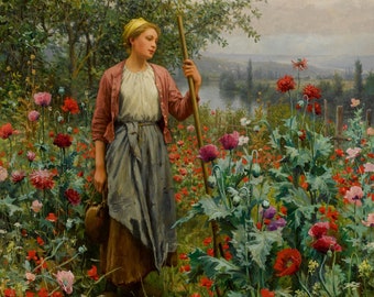 Daniel Ridgway Knight (1839 - 1924) - Poppies, Hand Painted Museum Quality Oil Painting Reproduction (D6050)