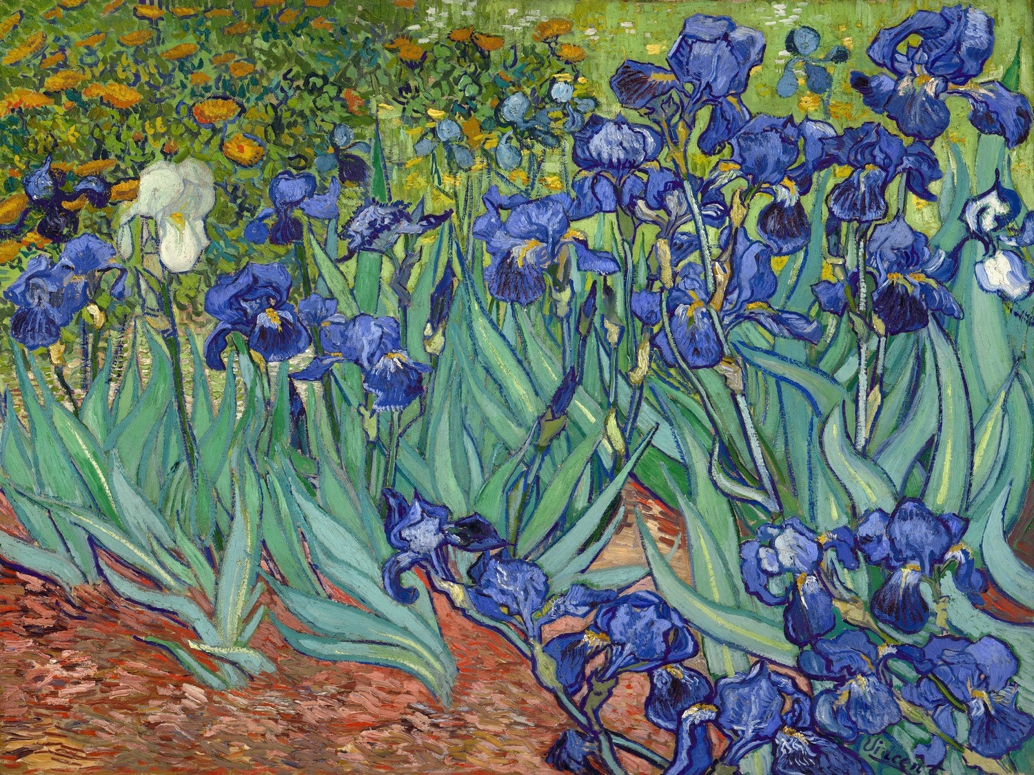 Van gogh les iris - Etsy België