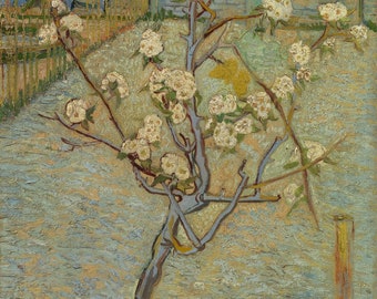 Blossoming pear tree - Etsy België