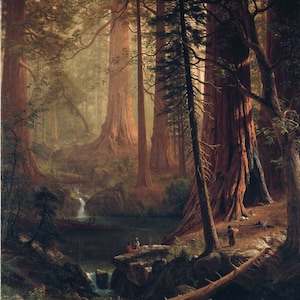 Albert Bierstadt Giant Redwood Trees of California 1874 Hand Painted Museum Quality Rolled Oil Painting Reproduction (D6050)