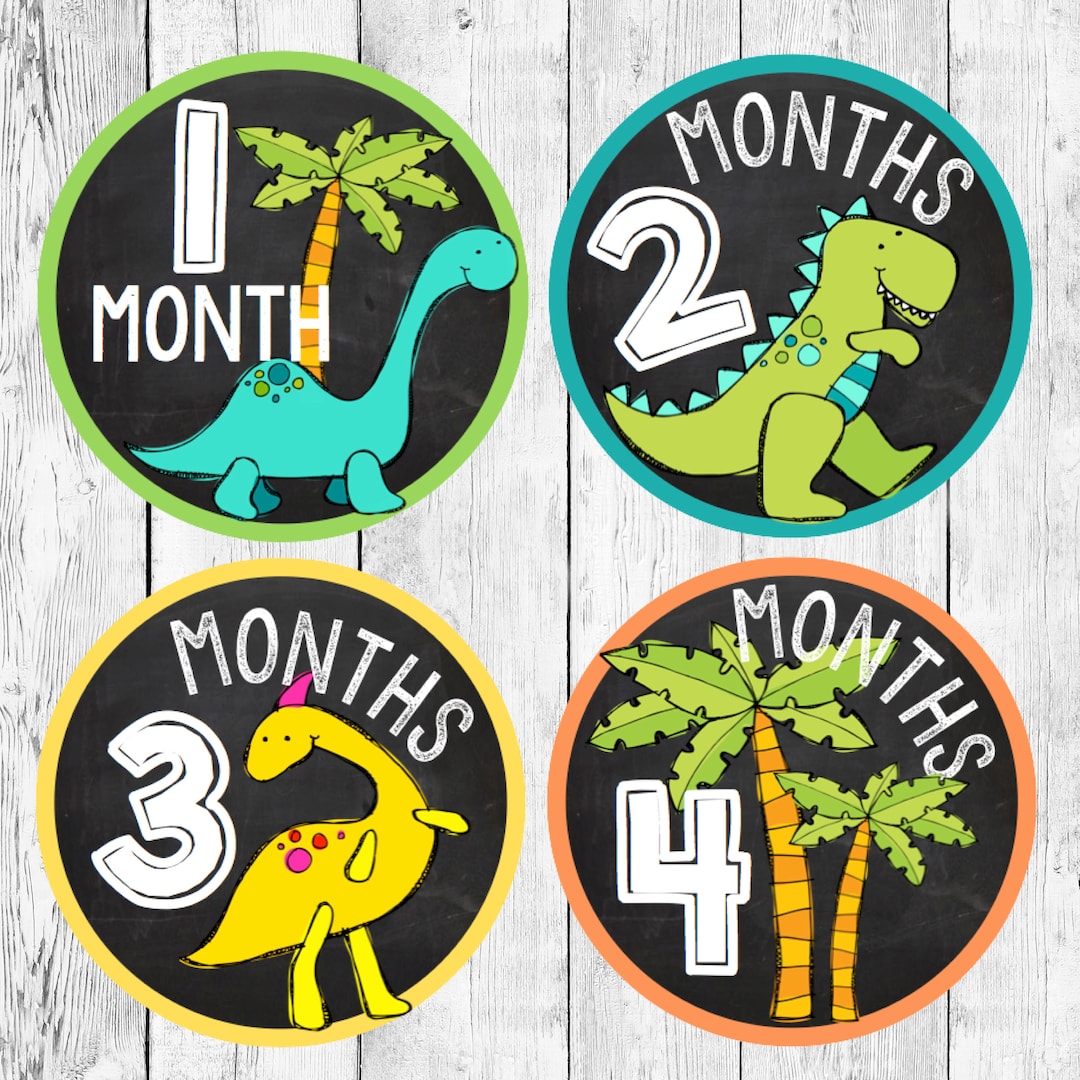 Dinosaur Dino Chalkboard Monthly Baby Onesies/ DIY Printable Iron on