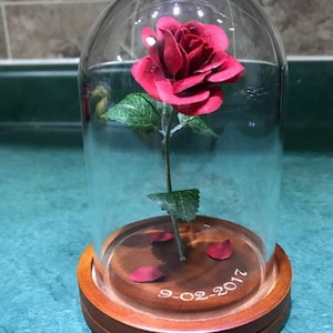 Beauty and the Beast Rose (small)