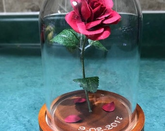 Beauty and the Beast Rose (small)