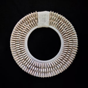 Może przedstawiać: Naszyjnik z białych muszli z plecionym sznurkiem z tyłu. Naszyjnik wykonany jest z wielu małych, spiczastych muszli ułożonych w kółko.