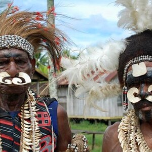 Asmat Feather Headdress Set, Bipane Adornments, Tribal Decor image 5