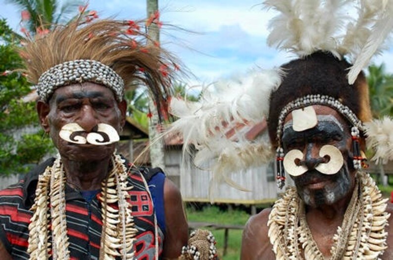 Asmat Feather Headdress Set, Bipane Adornments, Tribal Decor image 5