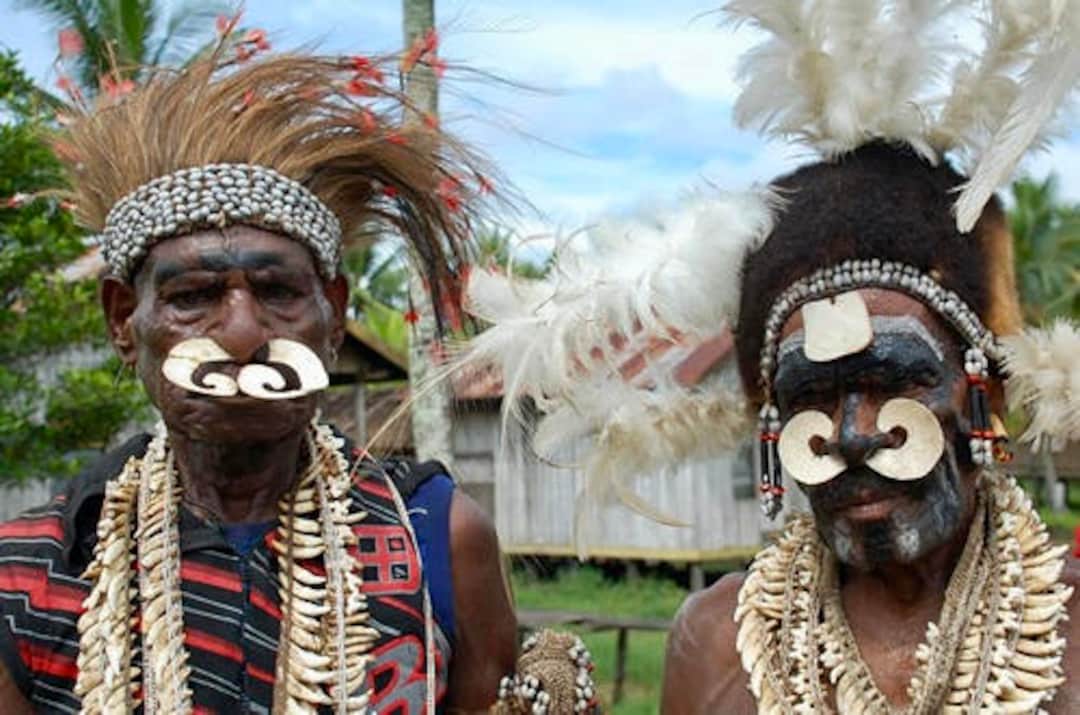 Bipane Papua New Guinea Ethnographic Asmat Tribal Septum Nose Piercing
