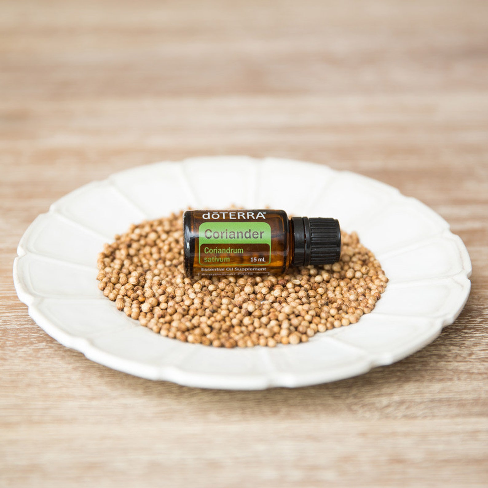 Coriander Oil doTERRA 15 ml essential oil new sealed Etsy