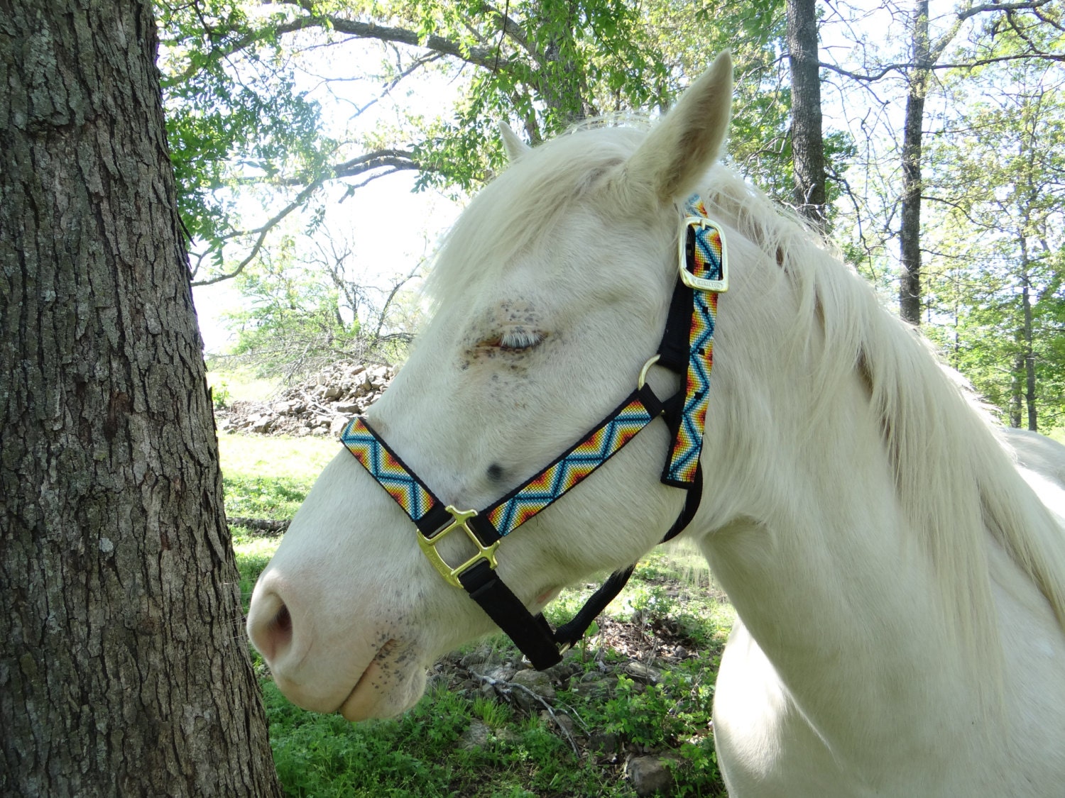 Beaded Horse Halter Etsy