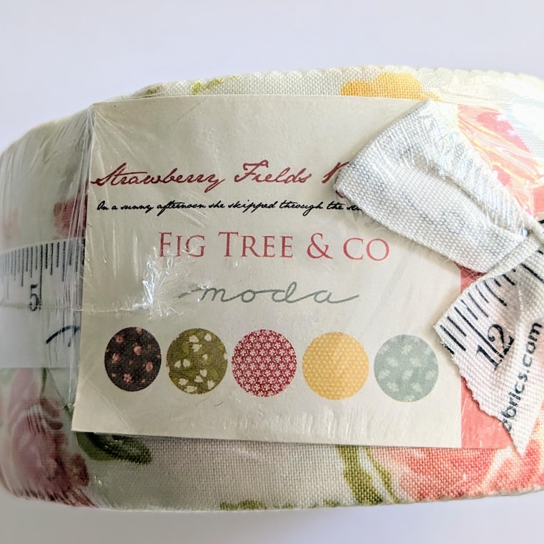 Strawberry Fields Revisited Jelly Roll Fig Tree by Joanna Figueroa of ...