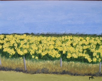 Sunflowers near Verona