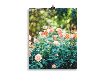 Rose Print, Garden Print, Rose Art, Plant Wall Art, Flower Wall Art