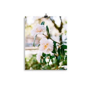 Savannah Print | Savannah, GA | Coastal Print | Savannah Physical Print | Savannah Art | Floral Print | Floral Art | Flower Print |