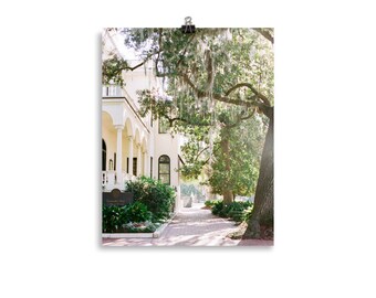 Savannah Print | Savannah, GA | Coastal Print | Savannah Physical Print | Savannah Art | Spanish Moss | Live Oak Trees