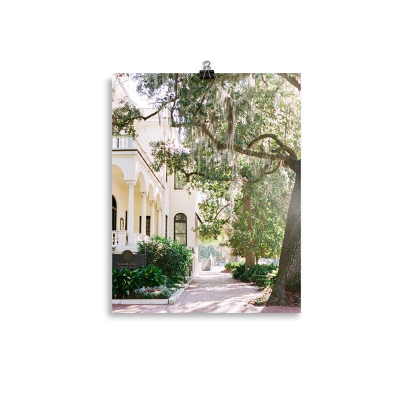 Print Oak Tree Spanish Moss Etsy