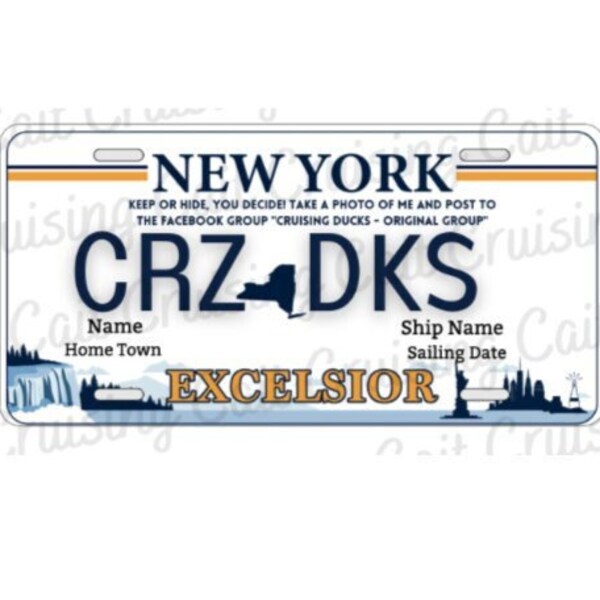License Plate New York Excelsior Etsy