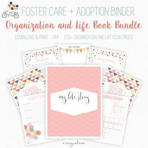 Foster Care / Adoption Bundle Binder . 250+ Pages! . 8.5 X 11 in ...