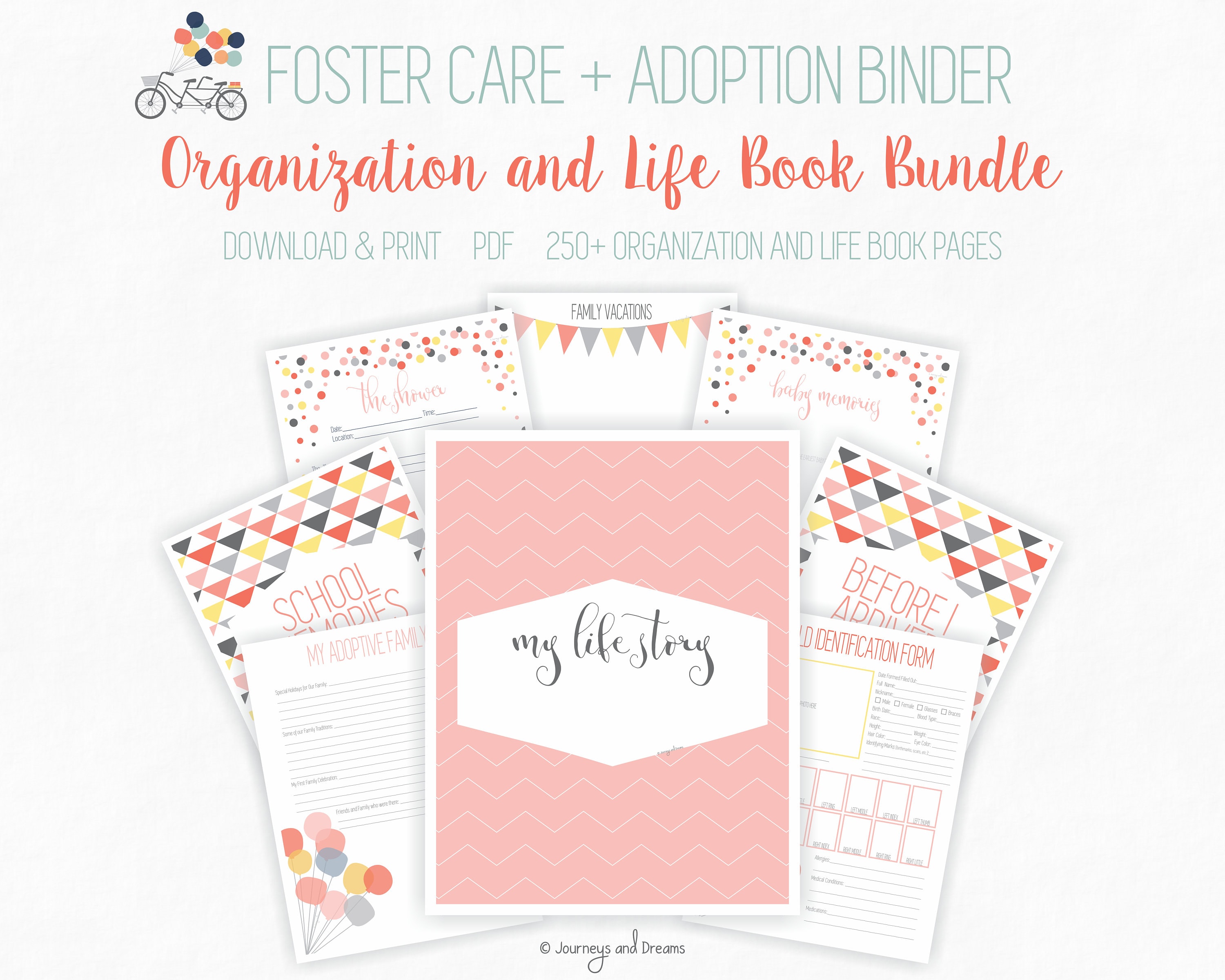 Foster Care / Adoption Bundle Binder . 250+ Pages! . 8.5 X 11 in ...