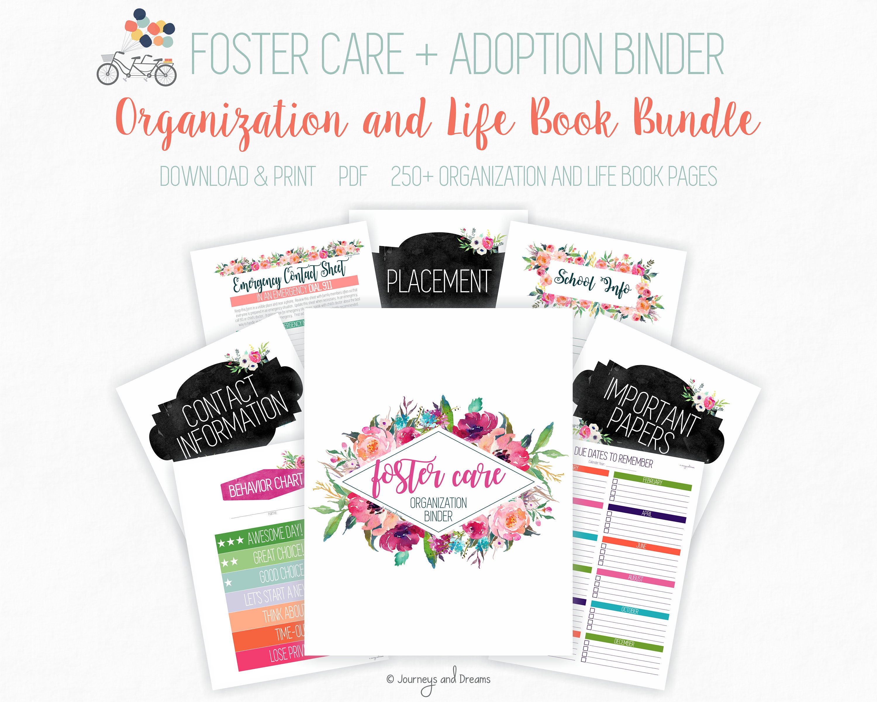 Foster Care / Adoption Bundle Binder . 250+ Pages! . 8.5 X 11 in ...