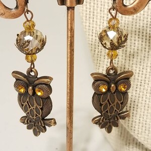 May include: A pair of owl earrings with amber glass beads and bronze owl charms. The earrings are hanging from a copper earring stand.