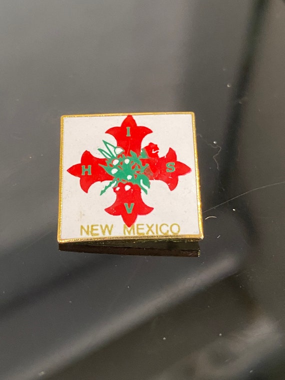 Vintage new mexico lapel Gem