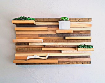 Reclaimed Wood Wall Shelf: Rustic Plant & EDC Display