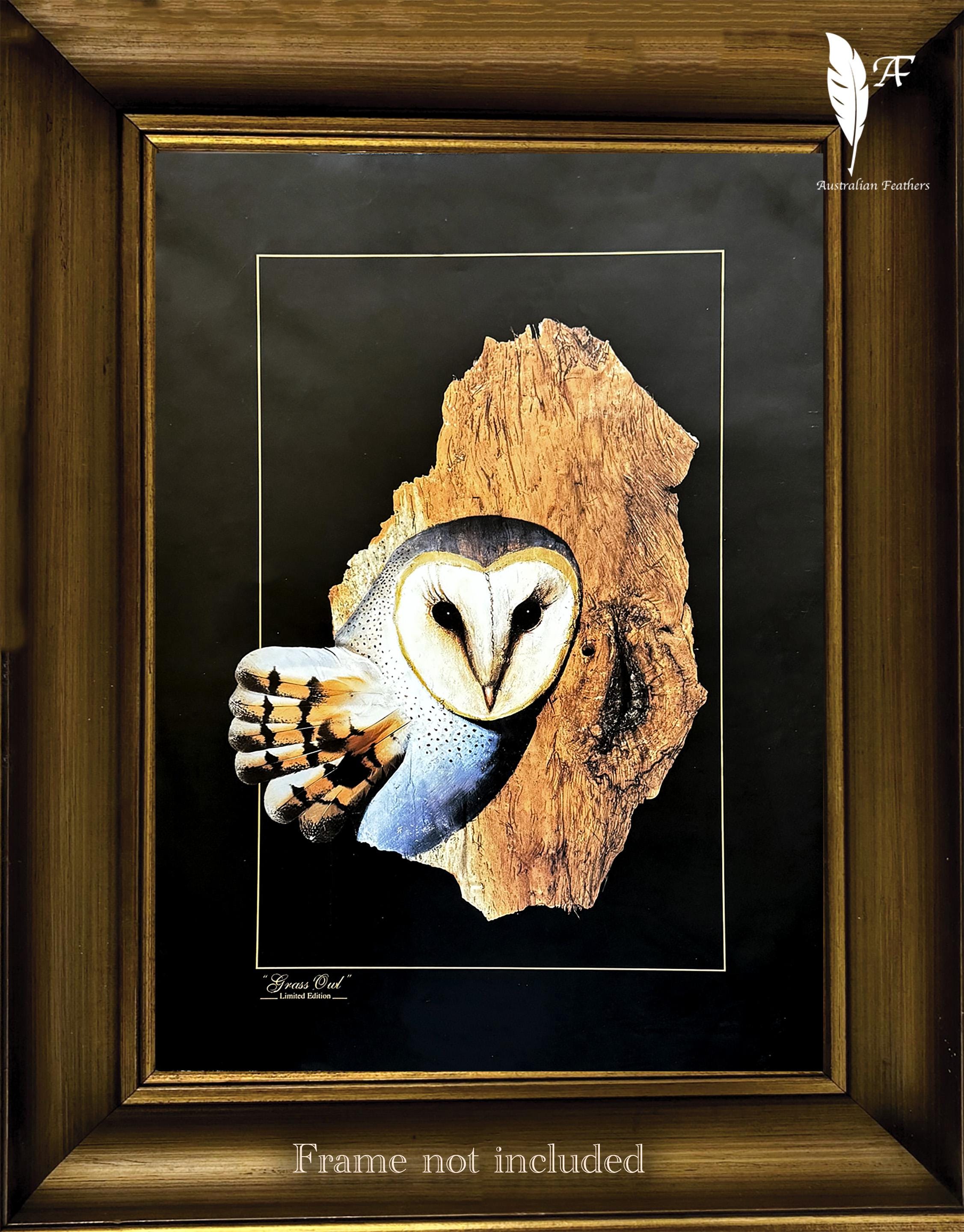 Grass Owl, Barkart, DIRECT FROM ARTIST Limited Edition Print out of 800