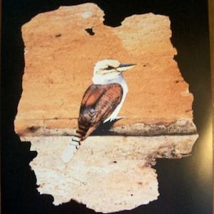 Laughing Kookaburra, Large Limited Edition Print out of 800