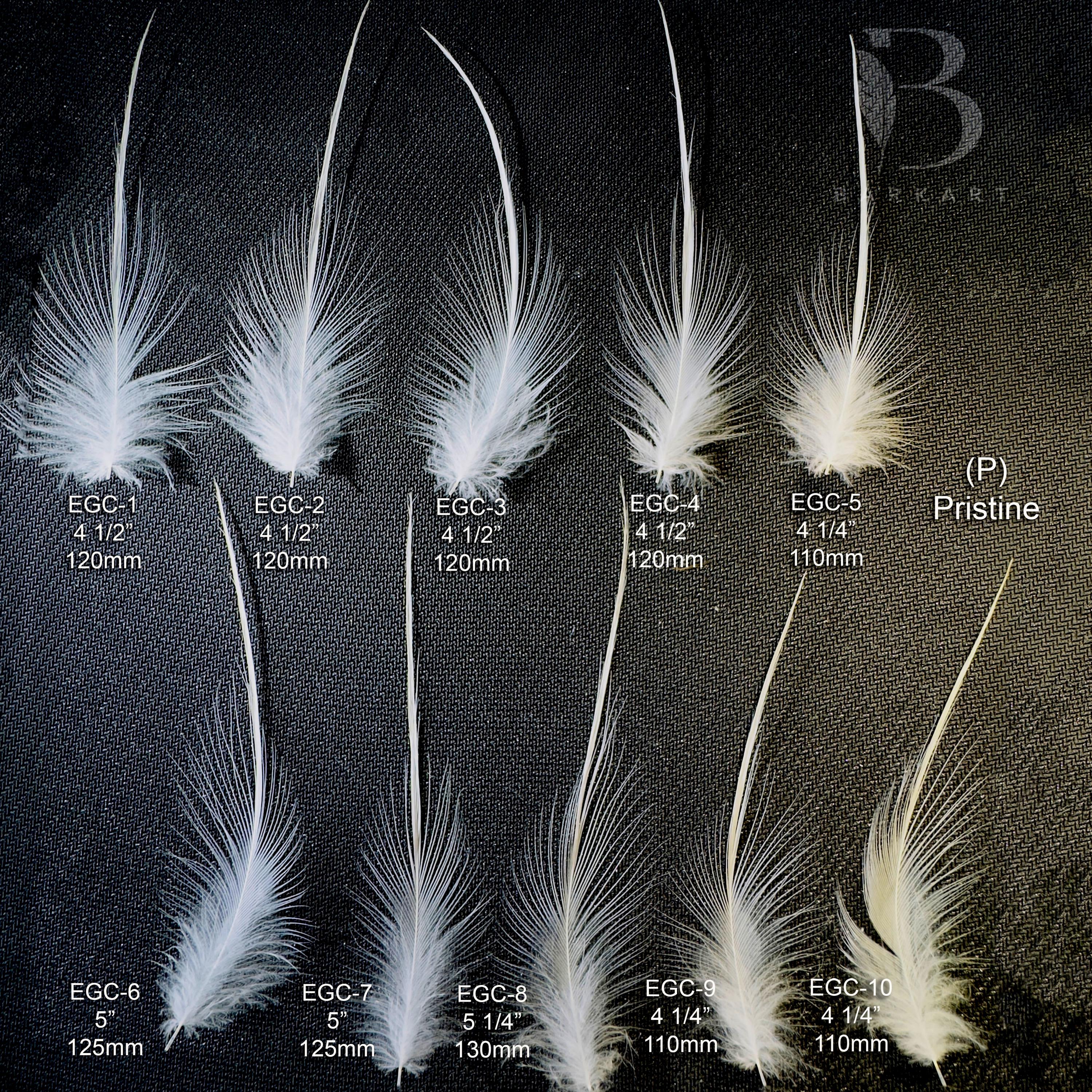 AustralianFeathers - Etsy