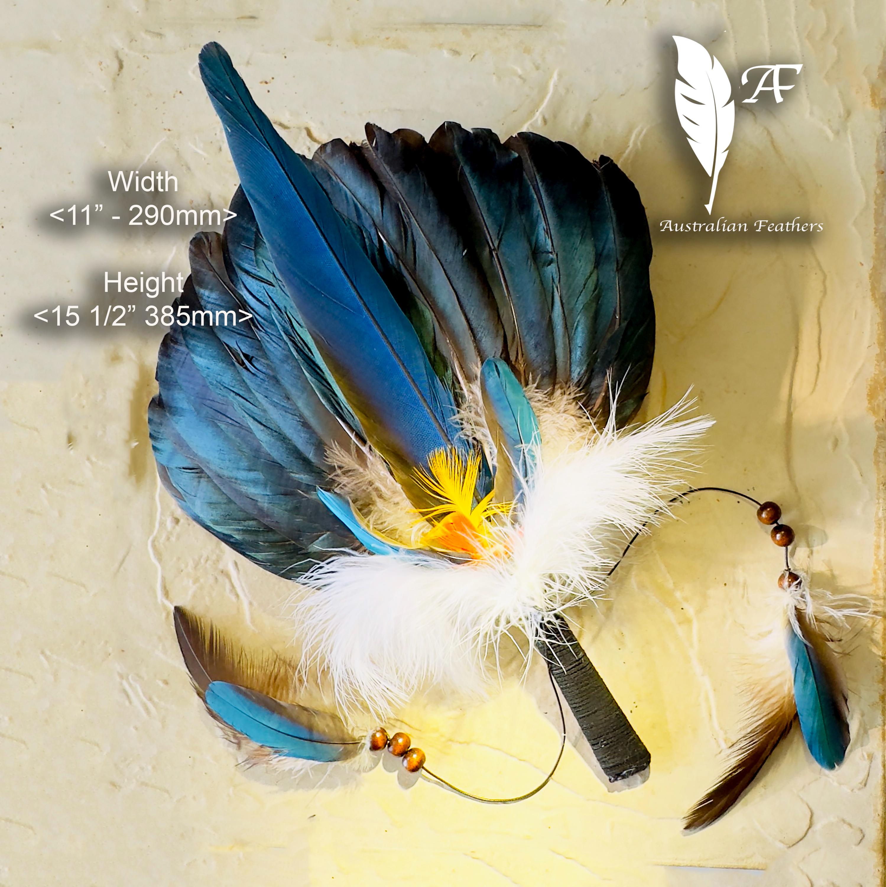 セール！ Feather and Brush：オーストラリア鳥類芸術300年 セール！ Feather and Brush：オーストラリア鳥類芸術300年 セール