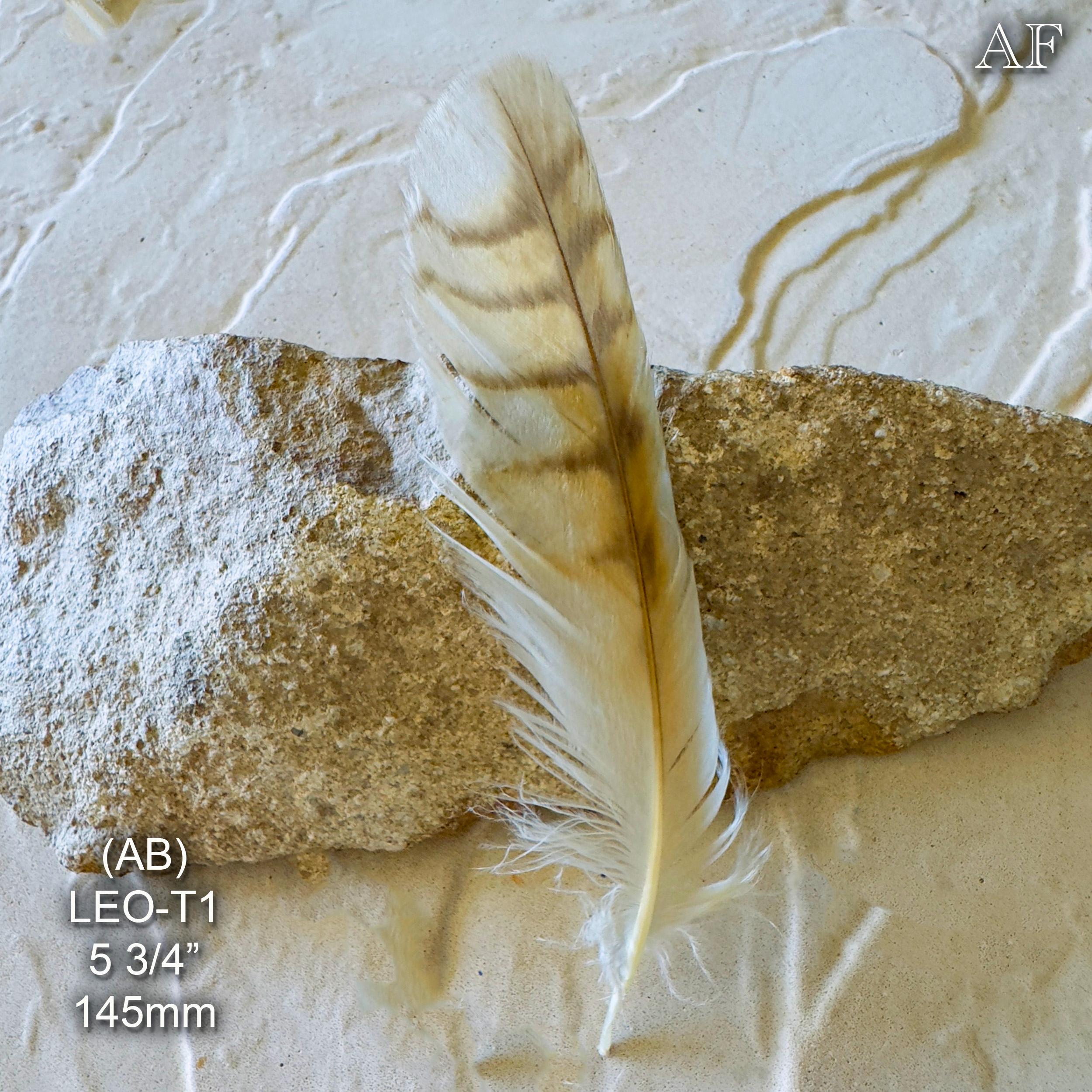 AustralianFeathers - Etsy