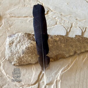 Genuine Raven Tail Feather, Adult Male, Mystic Smudging 