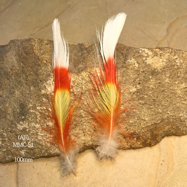 Rare Australian Major Mitchell ( Pink Cockatoo)  Feathers- Boho, Flyfishing, Feather Earrings, Millinery, Hat, PERMIT SUPPLIED