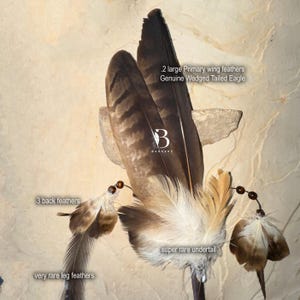 SMUDGE FAN DOUBLE Eagle- Genuine Double Wedged Tailed Eagle Wing Feather Smudging Wand, Prayer Feather, Smudging fan, Permit Supplied