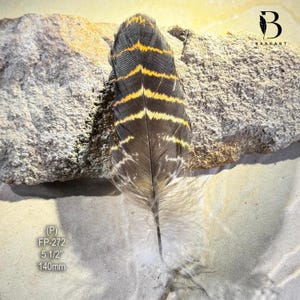 May include: A decorative feather with a black and brown base, accented by yellow and orange stripes. The feather is 5 1/2 inches (140mm) long and has a fluffy white base. The image also includes the text "(P) FP-272".
