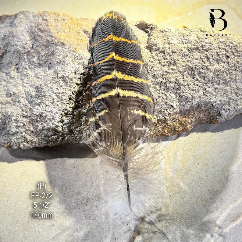 May include: A decorative feather with a black and brown base, accented by yellow and orange stripes. The feather is 5 1/2 inches (140mm) long and has a fluffy white base. The image also includes the text "(P) FP-272".