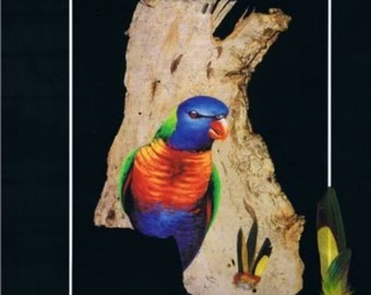 Australian Rainbow Lorikeet with Real Feathers Buy Direct From Artist