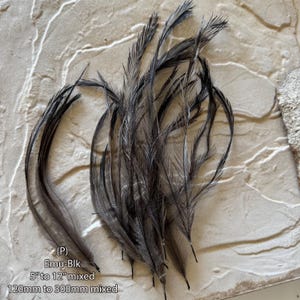 May include: A collection of dark grey and black emu feathers with a wispy, hair-like texture. The feathers vary in length, ranging from 120mm to 300mm. Text on the image reads: (P) Emu-Blk 5" to 12" mixed 120mm to 300mm mixed.