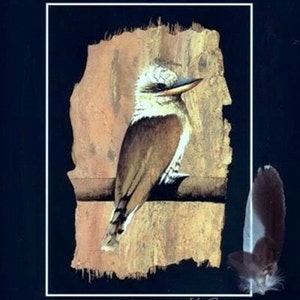 Laughing Kookaburra with Real Feathers - Signed by Artist- DIRECT