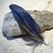 see more listings in the Macaw Feathers section