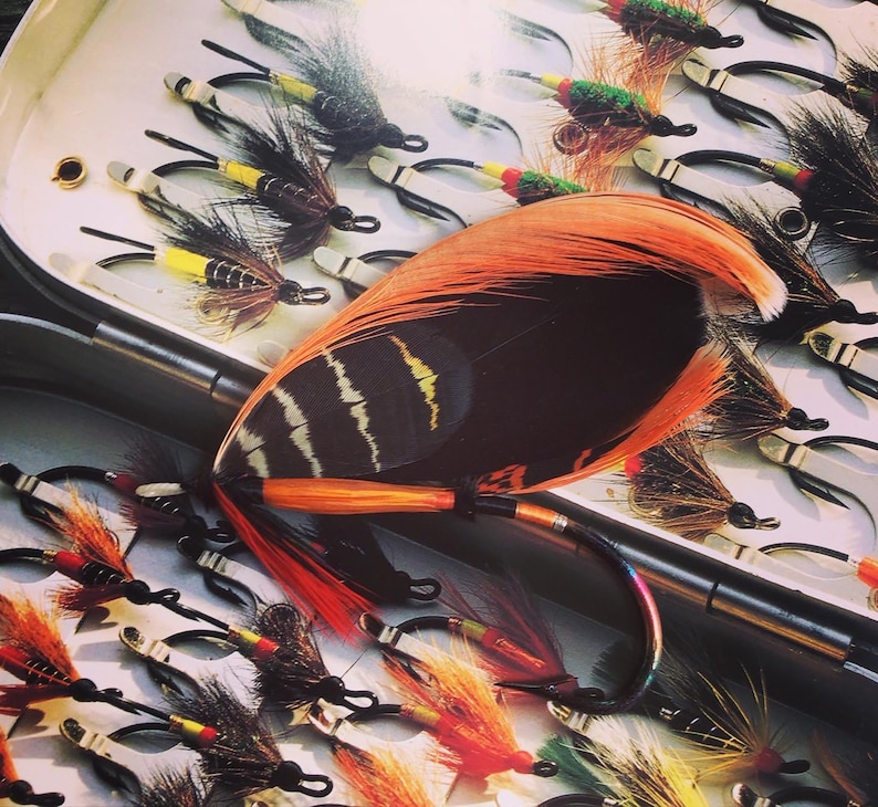 May include: A collection of colorful fishing flies, including a large orange and black feather, arranged in a tackle box. The flies feature various colors like red, yellow, and black, with detailed hooks.