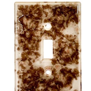 May include: A white light switch cover with a brown and white marbled design.