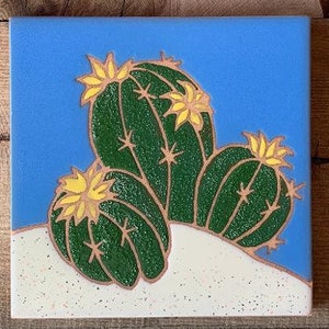 Barrel Cactus family, decorative 6x6 tile