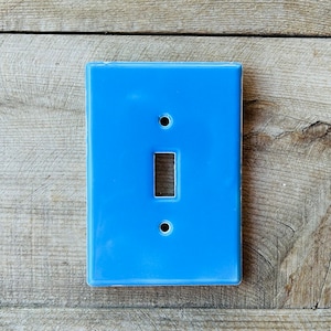 May include: A light blue ceramic light switch cover with a single toggle switch.