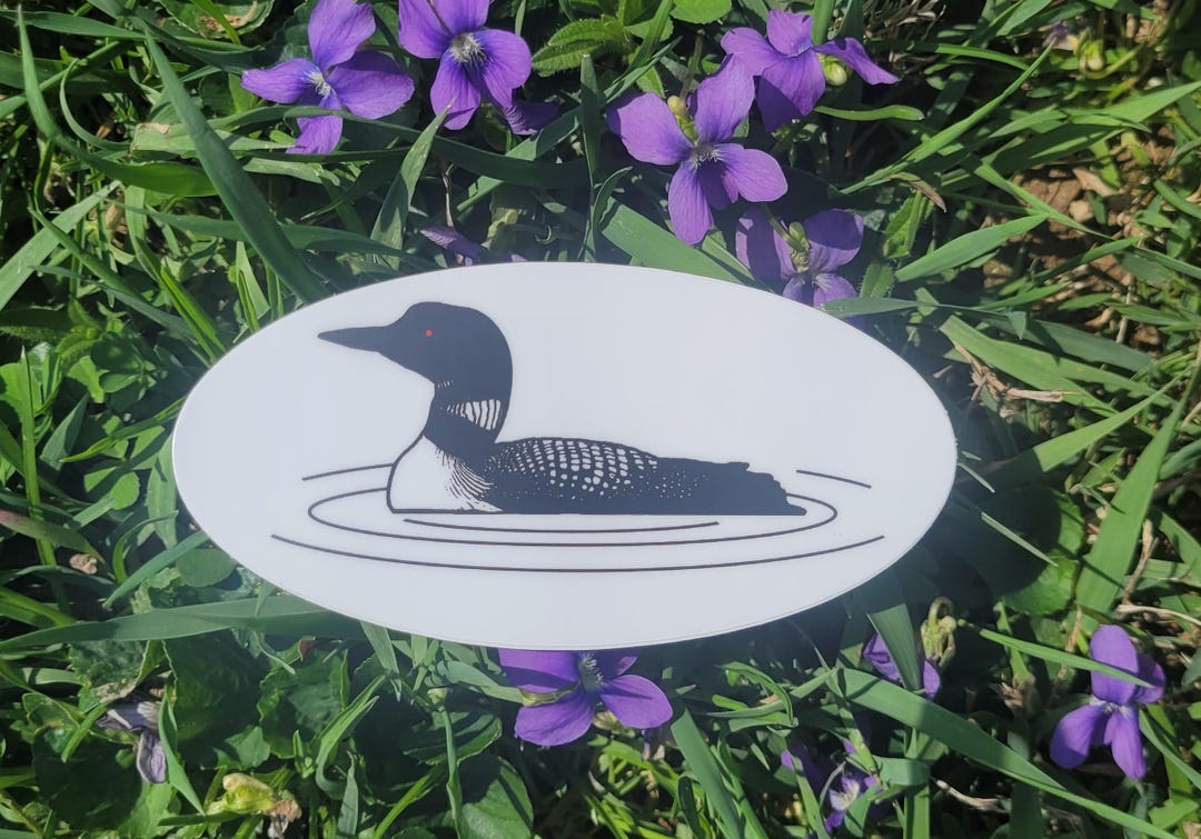 Loon Vinyl Sticker, Bird Lover Decal (2 X 4 Inches) - Etsy